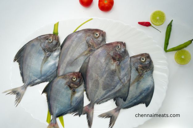 black pomfret decorated with vegetables