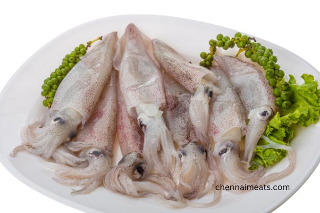 Bunch of Raw Whole Squid with Skin on