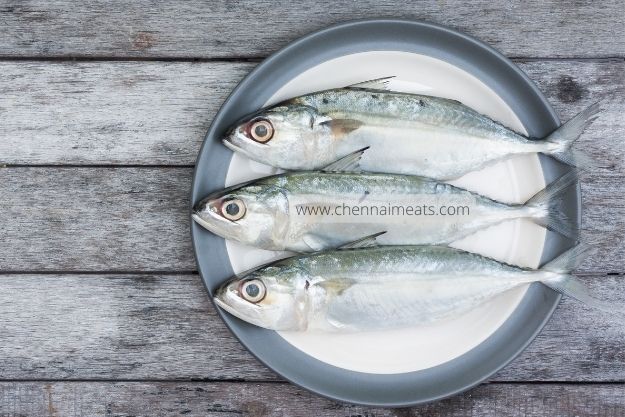 Buy Indian Salmon Fish Online