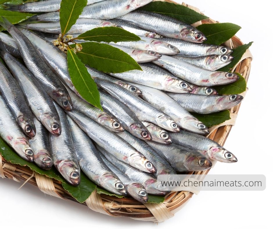 Buy Anchovies Fish Online