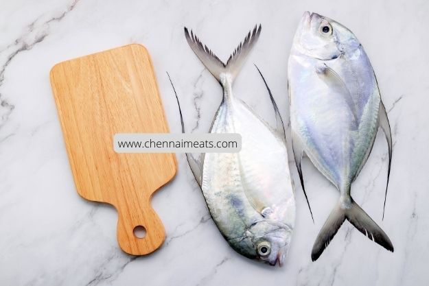 Buy Trevally/Paarai Fish Online