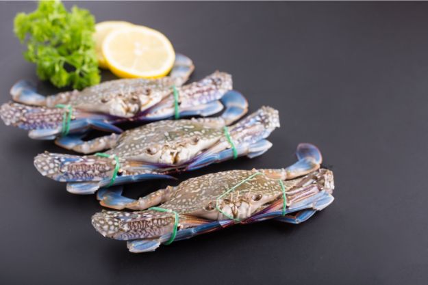 Buy Fresh Raw Blue Crab Online