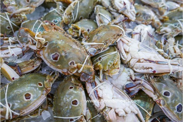 Buy Fresh Raw Three Spot Crab Online - THREE-SPOT SWIMMING CRAB in seafood market