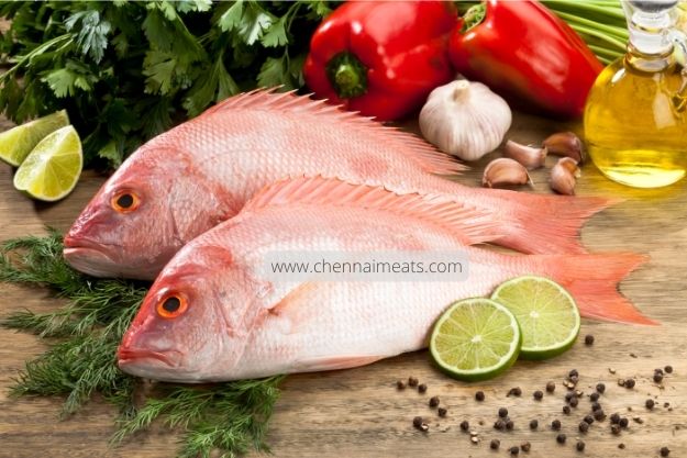 Order Fresh & Delicious Red Snapper/Sankara fish