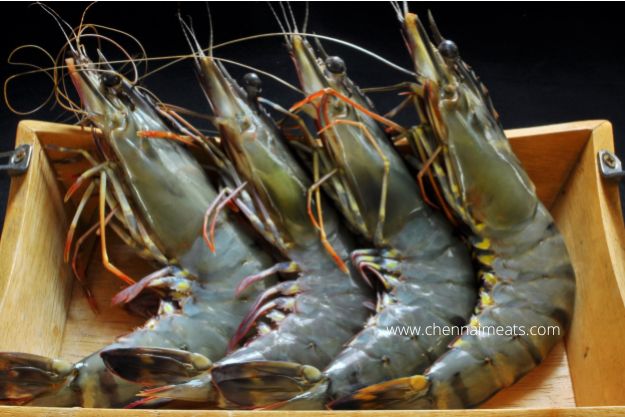 Buy Fresh Raw Jumbo Tiger Prawns Online