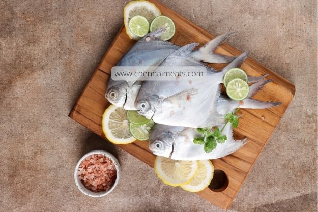Buy White Pomfret Fish Online