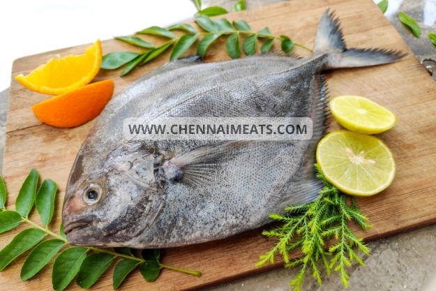 Buy Black Pomfret Fish Online