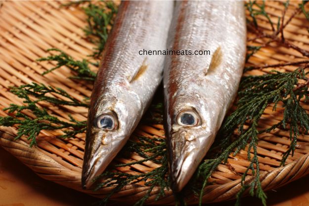 Pair of Fresh Raw Barracuda