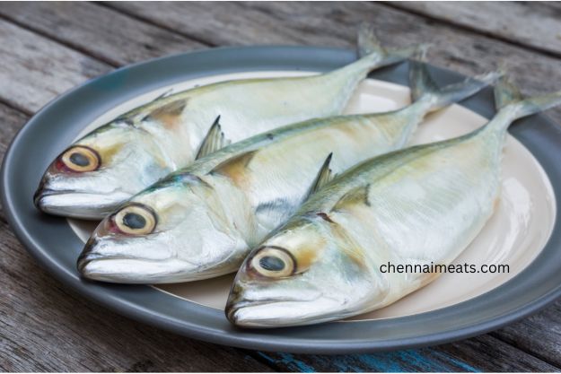 Whole Raw Ayila Indian Mackerel on plate