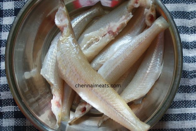 Whole Kilangan Fish Cleaned Gutted
