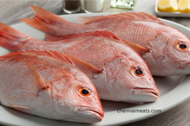 Fresh Sankara Meen Red Snappers