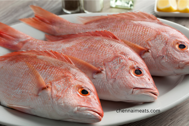 RED SNAPPER/CHEMPALLI (Medium - Large) - Fresh Kerala Store