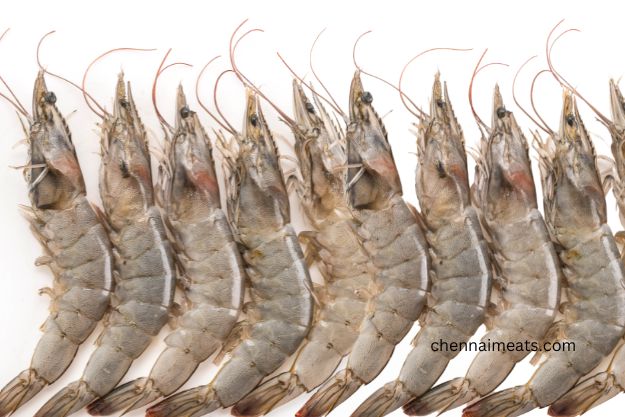 Whole Raw Sea water White Prawns Large Sizes