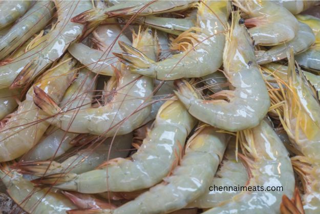 Whole Raw Sea water White Prawns Medium Sizes