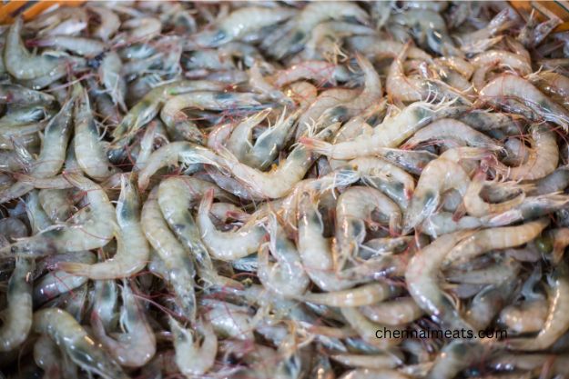 Whole Raw Sea water White Prawns Small Sizes